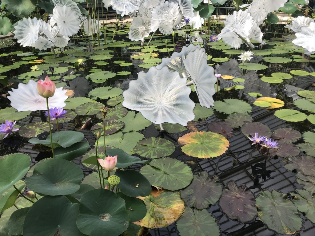 illustrating the work of Dale Chihuly